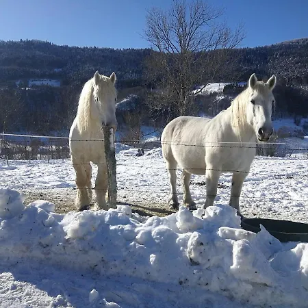 アパート La Des Rosiers *