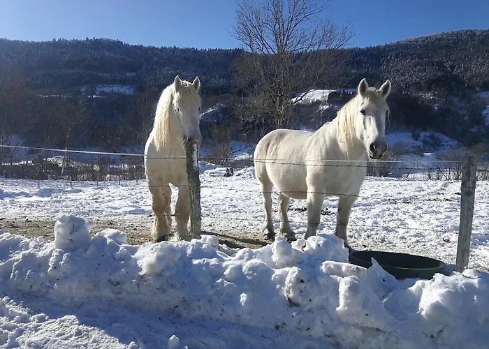Διαμέρισμα La Des Rosiers *