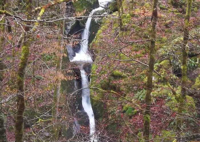 Διαμέρισμα La Des Rosiers
